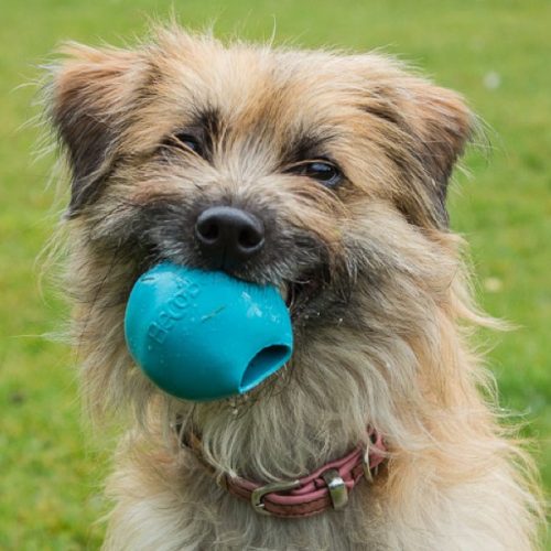 Beco labda – jutalomfalattal tölthető kutyajáték (3 féle színben)