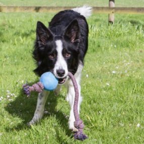 Beco természetes gumilabda kötélen S
