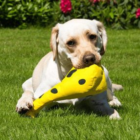 George, a Zsiráf (Beco játék) M