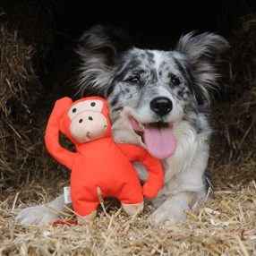 Michelle, a Majom (Beco játék) L