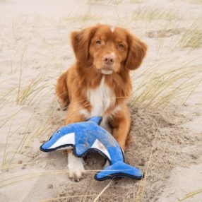 David, a delfin (Beco játék) M