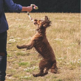 Beco sípoló kender kötél M