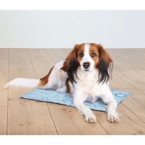   Trixie hűtő matrac, buborékos mintával "S" 40 x 30 cm